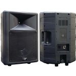 Pyle Pro 500w 12in Spkr Cabinet